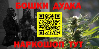 гашик Дубна