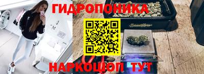 гашик Дубна