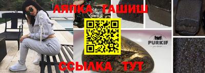 гашик Дубна