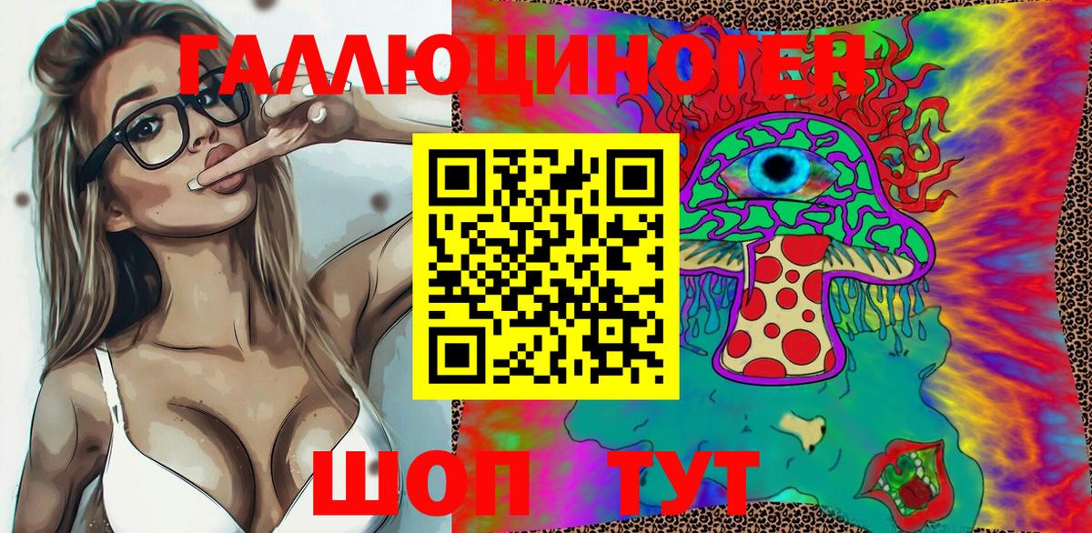 Псилоцибиновые грибы Psilocybine cubensis  Вход с VPN  Луга  Псилоцибиновые грибы Psilocybe 
