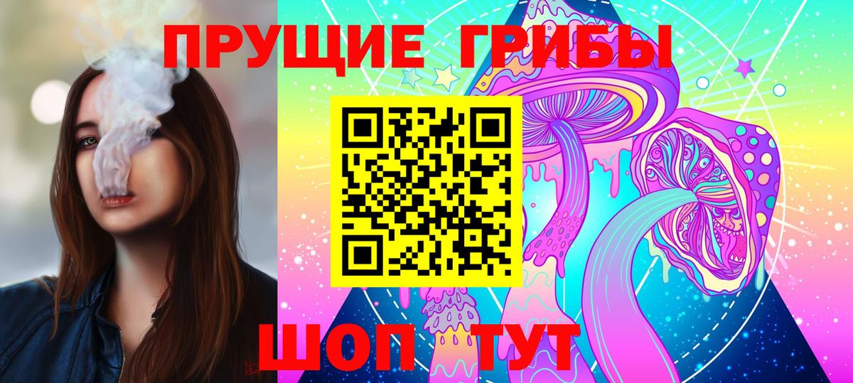 Галлюциногенные грибы Cubensis Луга